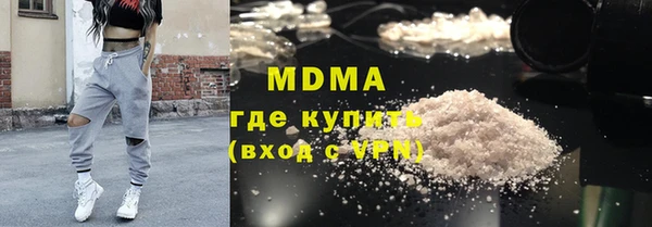 индика Инсар