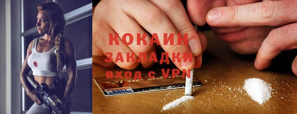 индика Инсар