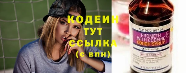 дурь Инта