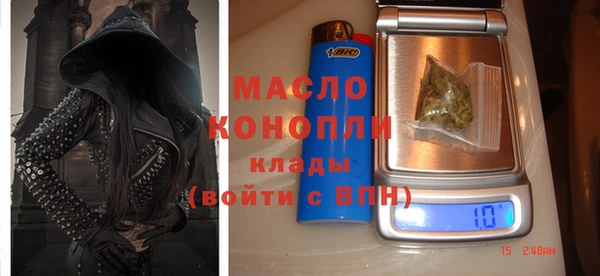 дурь Инта