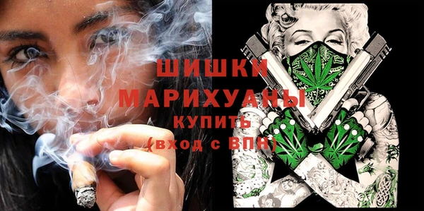 индика Инсар
