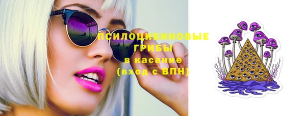 индика Инсар