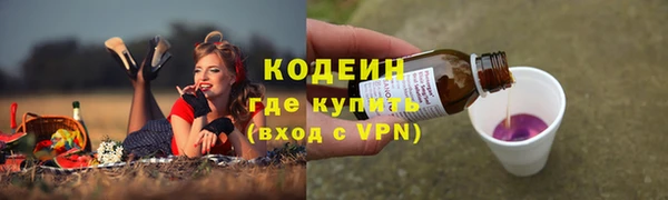 дурь Инта