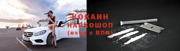 молекула духа Каменка