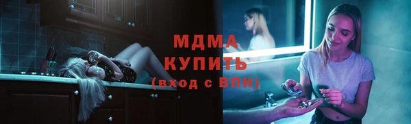 индика Инсар