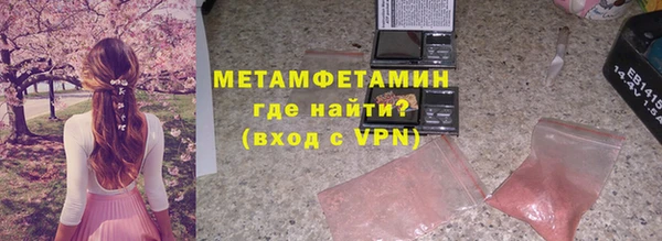 индика Инсар