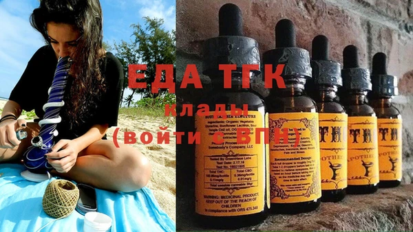 индика Инсар