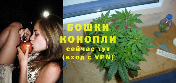 метадон Каменногорск