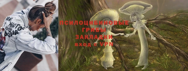 круглые Иннополис