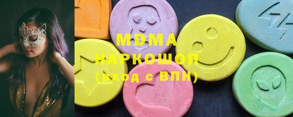 индика Инсар
