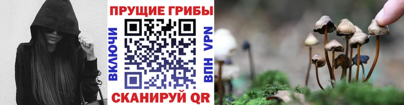 OMG зеркало  где найти наркотики  Ахтырский  Псилоцибиновые грибы Psilocybine cubensis 